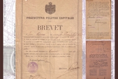 Documentele vremii