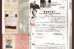 Documentele vremii